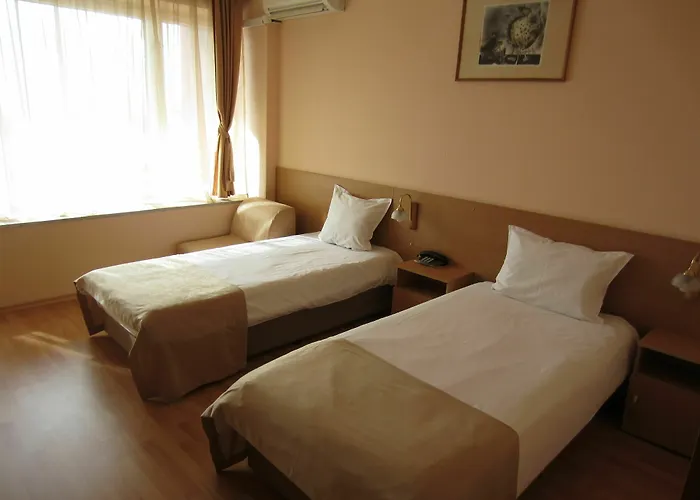 Ξενοδοχείο Rila 3*